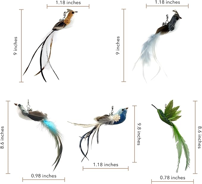 CUTIE PAW PAL Deluxe Bird Replacement Heads for Cat Toys - Set of 5 - Realistic Feather Designs Including Blue Floral, Two-Tone, Traditional, Black & White, Green Hummingbird - Easy Clip-On