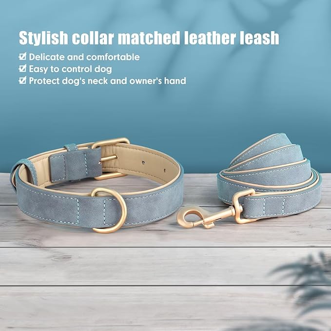 Beirui Soft Padded PU Leather Dog Collar and Leash Set, Durable Dog Leash and Collar Set with Metal Buckle, Breathable Pet Collars with 4FT Leash for Small Dogs(Blue, Neck 10-13")