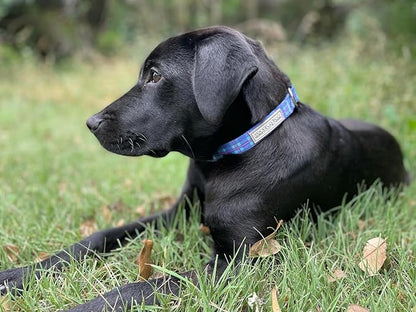 Lucky Love Dog - Adjustable Dog Collar and Leash Set with Easy Click Buckle for Small Dogs, Durable, & Comfortable Collar for Male & Female Dogs, Puppies & Adult Ones - Scotty Combo, Small