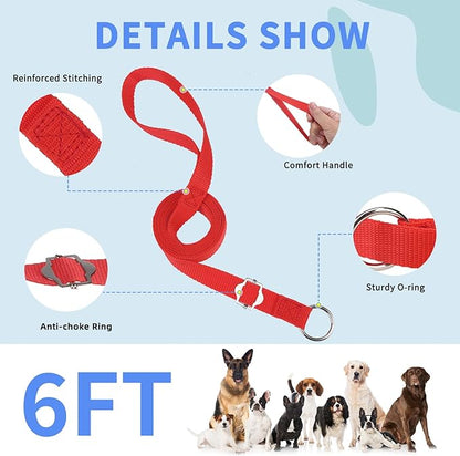 HOMIMP Slip Lead Dog Leash 6 FT- 6 PCS Bulk Colors Kennel Control Leashes for Small Medium Large Dogs Puppy Animal Rescue, Grooming - Heavy Duty Strong Nylon 6 Foot Long for Shelter, Vet, Training