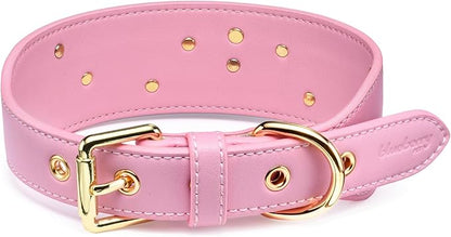 Blueberry Pet Premium Embossed Pink Glam Silver-Powered Freshness Microfiber Leather Dog Collar with Gold Studs