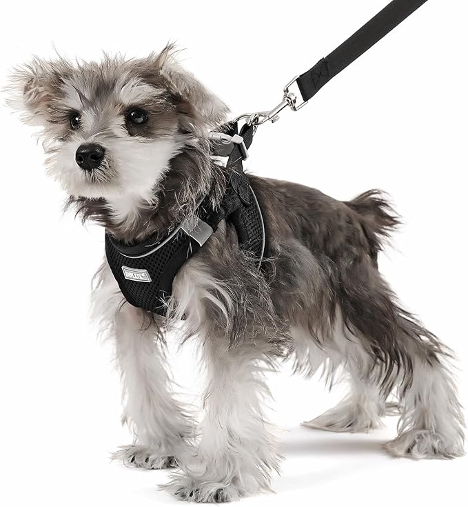 Bolux Dog Harness Small Sized and Leash Set, Step in Soft Light Puppy Vest, Breathable Mesh Pet Harness, Reflective for Safe Easy Walking.