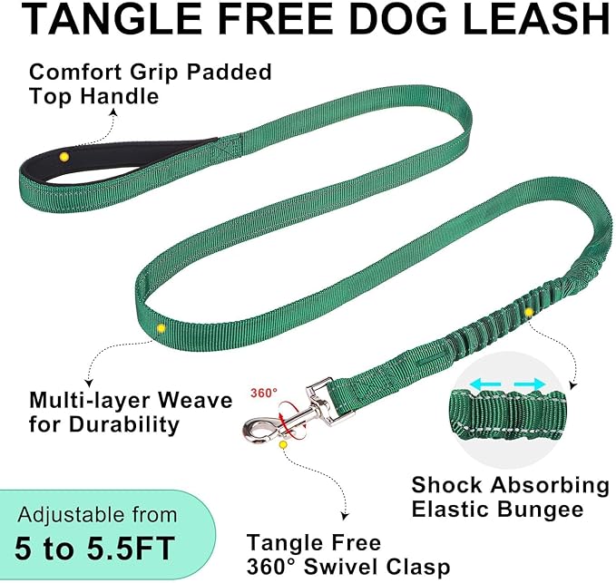 BEAUTYZOO Dog Harness for Small Dogs, No Pull Dog Harness and Leash Set, Soft Escape Proof Puppy Vest Harness with Handle, Reflective Lightweight Step in Harness for Girl Boy Dogs, Green S