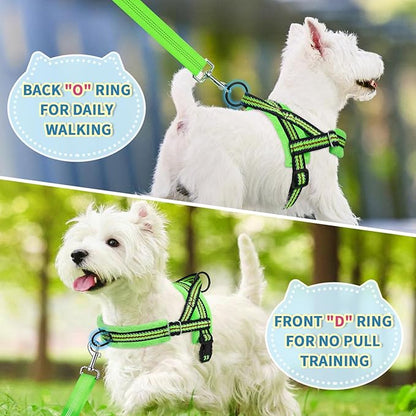 Lukovee No Pull Dog Harness and Leash Set, Soft Padded Small Dog Harness, Neck & Chest Adjustable Reflective Vest Puppy Harness with 4ft Lightweight Anti-Twist Dog Leash for Small Dogs (XXS, Green)
