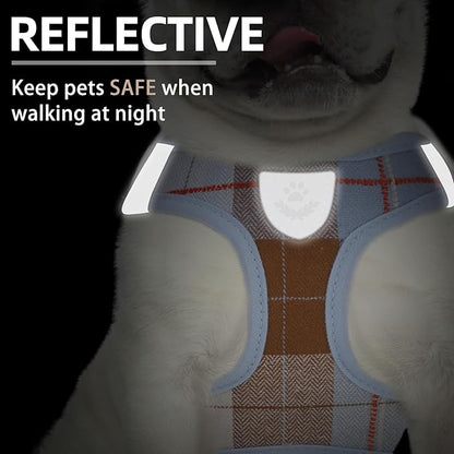 PUPTECK Adjustable Dog Harness Collar and Leash Set Step in No Pull Pet Harness for Small Medium Dogs Puppy and Cats Outdoor Walking Running, Soft Mesh Padded Reflective Vest Harnesses, BlueBrown S