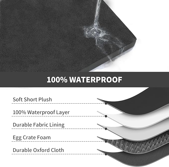 Tail Stories Orthopedic Dog Bed for Large Dogs, Plush Washable Pet Bed for Large Size Dogs with Egg Crate Foam & Removable Oxford Cover, 36x27 Inch, Black