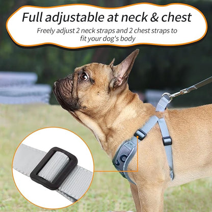 Dog Frenchie Harness with Leash Set, No Pull Adjustable Step in Vest Harness for Medium Dogs Walking and Running (M, Gray with Circle)