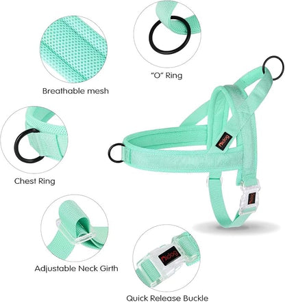 Didog No Pull Dog Harness with Breathable Mesh Padded, Quick Fit & Easy on Dog Vest Harness for Small Medium Large Dogs Training Walking(Green,M)