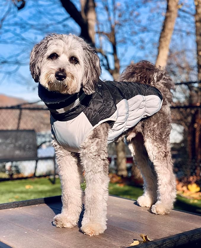 Lelepet Dog Coat Warm Dog Winter Coat Waterproof Dogs Jacket with Harness Built in Reflective Pet Fleece Vest Zip-Up Cold Weather Coats for Small Dogs Turtleneck & Windproof Coats Yorkie Black S