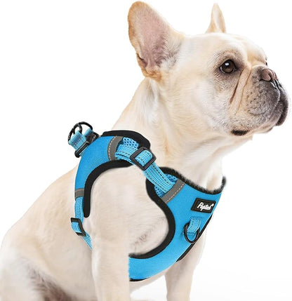 PUPTECK No Pull Dog Harness Small Medium Sized Dog, Adjustable Reflective Escape Proof Easy Control, Comfortable Soft Padded Step in Pet Vest Harness, Blue, M