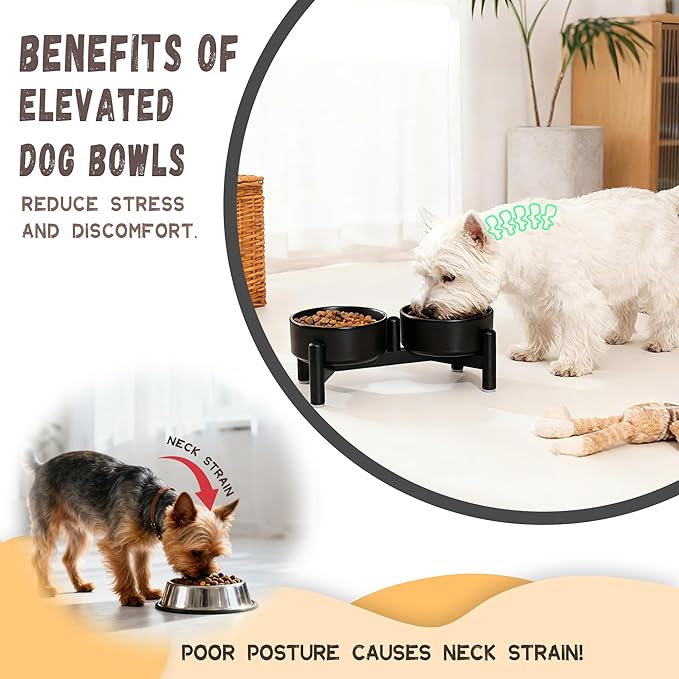 Raised Ceramic Dog Bowl Set - Elevated Double Dishes with Stainless Steel Stand - Food and Water Bowls for Small Dogs and Indoor Cats - Each Holds 1.6 Cups (10.8 fl oz) - Grey
