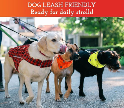 SPOT THE DOG! Reflective Dog Collar - Adjustable Pet Collars, Safe, Durable, Comfortable Dog Walking Accessories for Large Dog, Hunting Dog, Puppy, Lightweight Boy, Girl Dog Collars (Blaze Orange, L)
