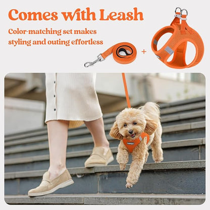 rabbitgoo Dog Harness Small Sized and Leash Set, Step in Soft Light Puppy Vest, Breathable Mesh Pet Harness, Reflective for Safe Easy Walking, Orange XXXS