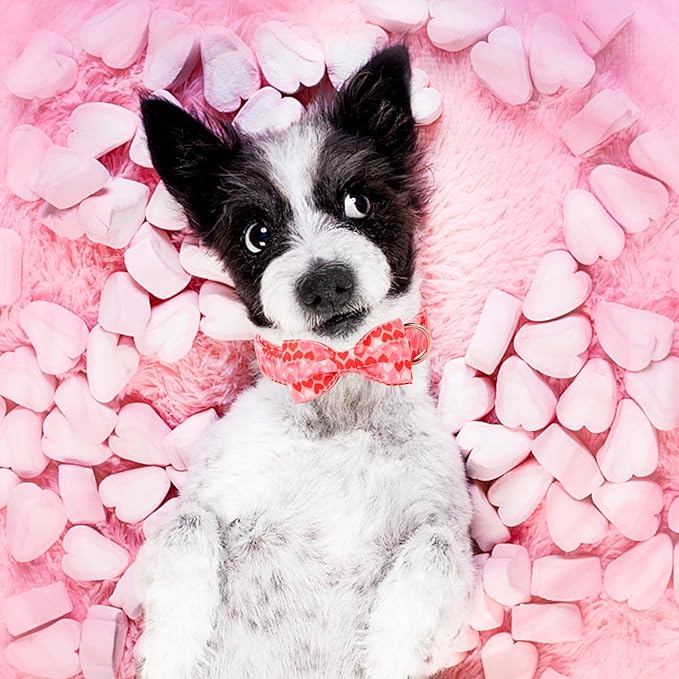 Unique Style Paws Valentine's Dog Collar with Bow Love Heart Cotton Puppy Collars Wedding for Small Medium Large Dogs