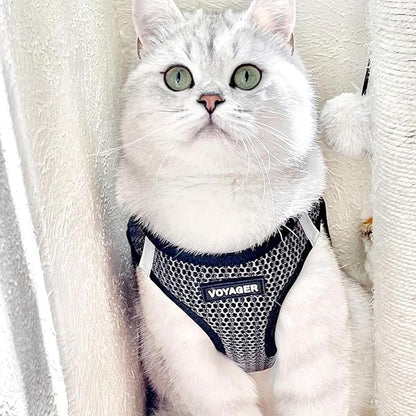 Best Pet Supplies Voyager Step-in Air Harness - All Weather Mesh, Reflective, No Pull Harness for Dogs, Cats - Secure with Hook & Loop Fastener, Buckle, Double D-Rings - Gray 2-Tone, L
