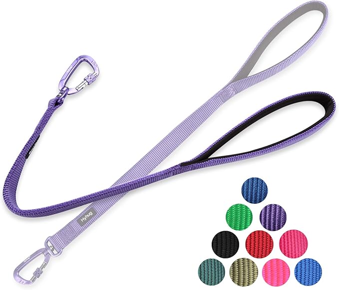 Hyhug Pets 24 Inches Nylon Durable Short Leash with Comfort Handle and Lightweight Aviation Aluminium Carabiner Lead - Large Dogs Walking,Training. (24 Inches, Ultra Violet)