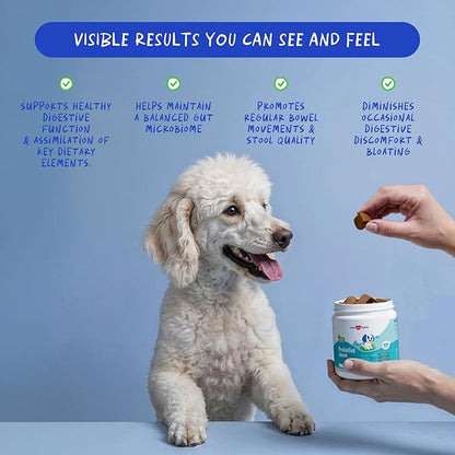 Probiotics for Dogs Digestive Health - Support Gut Health, Diarrhea, Gas, & Seasonal Allergies - with Honey, Pumpkin and Prebiotics for Digestive Support, Bad Dog Breath & Constipation