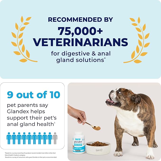Glandex Dog Fiber Supplement Powder for Anal Glands with Pumpkin, Digestive Enzymes & Probiotics - Vet Recommended (Regular or Advanced Strength) - Boot The Scoot (2.5 oz, Pork Liver)