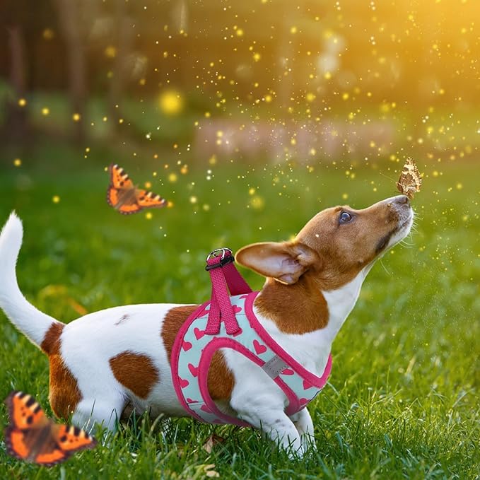 KOOLTAIL Dog Harness and Leash Set for Small Medium Dogs, Step in No Pull Soft Mesh Dog Harness Comfort Padded Pet Vest, Adjustable Reflective Easy Walking Puppy Cats Harnesses Training, Pink Heart XS