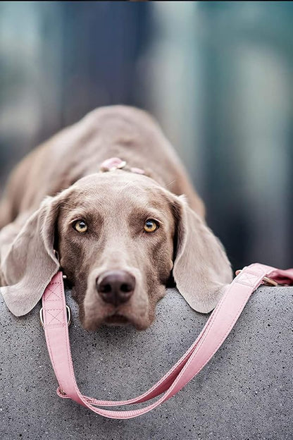 Soft Leather Dog Collar and Leash (6.6') Set - Stylish Rose Gold Heavy Duty Metal Buckle, 4 Adjustable Lengths Leash for Small Medium Large Dogs - Comfortable & Easy to Clean Pink L(15.4"-24.8")
