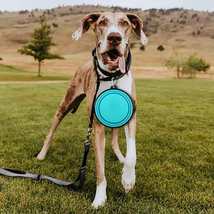 Paercute Collapsible Dog Bowl, Lightweight and Portable, Ideal for Camping, Hiking, and Outdoor Use
