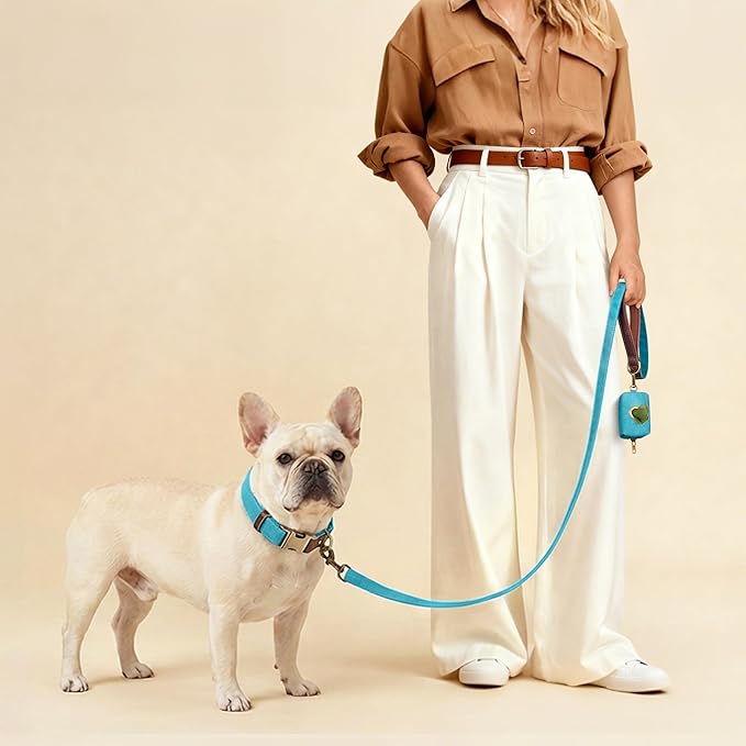 Didog Soft PU Leather Dog Collars for Medium Dogs,Classic Adjustable Dog Collars with Quick Release Metal Buckle,Easy Clean and Comfortable with Nylon Lining,Light Blue,M Neck 14-19"