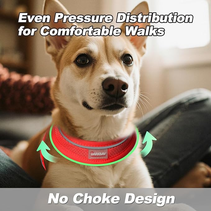 Dog Harness and Leash Set,Step in Small Sized Dog Harness,Soft Mesh,No-Chock,Reflective Adjustable,Secure with Hook & Loop Fastener,Puppy Vest for Small,Medium Dogs(Red,XXS)