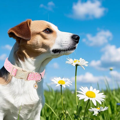 UP URARA PUP Pet Collar-Summer Daisy Dog Collars-Pink Grid Puppy Collar-Adjustable, Sturdy & Cute Girl Boy Dog Collars for Outdoor Fun