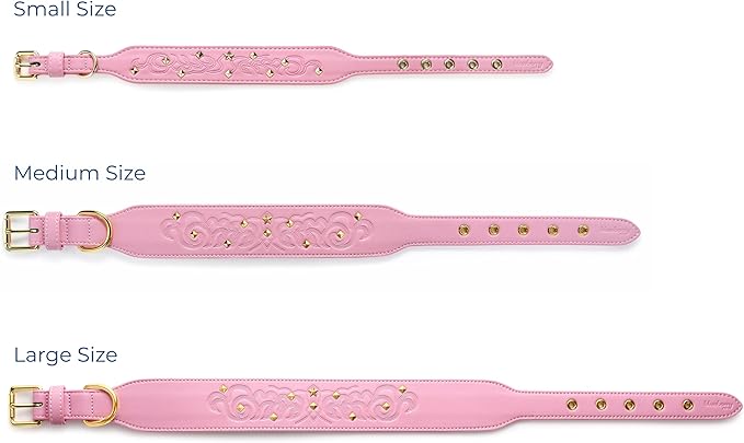 Blueberry Pet Premium Embossed Pink Glam Silver-Powered Freshness Microfiber Leather Dog Collar with Gold Studs