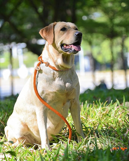 lynxking Dog Leash Slip Lead 5 6 8 FT Dog Training Leash Strong Heavy Duty Braided No Pull Training Lead Leashes