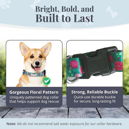 Lucky Love Dog - Adjustable Dog Collar with Easy Click Buckle for Small Dogs, Durable, & Comfortable for Male & Female Dogs, Pet Collar for Puppies & Adult Ones - Penny, Small