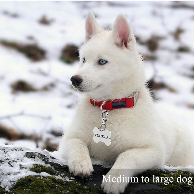Dog Tag Clips / 2 Pack/Multiple Size 304 Stainless Steel Quick Clip with Rings/Easy Change Dog Cat ID Tag Holder for Small pet Collars and Harnesses.(2 Medium Silver)