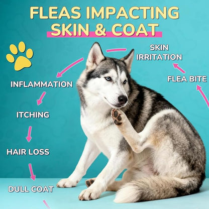 Woyamay Flea Defense + Skin & Coat Support, Natural Flea and Tick Prevention for Dogs & Cats, Dog & Cat Flea Treatment with Pumpkin Seed & Omega-3/6/9, Flea Drops for All Breeds & Ages, Chicken Flavor