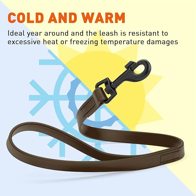 Dogline Biothane Waterproof Dog Leash Strong Coated Nylon Webbing with Black Hardware Odor-Proof Easy to Clean High Performance for Small or Large Dogs Made in USA 2 ft Lead, Dark Chocolate Brown