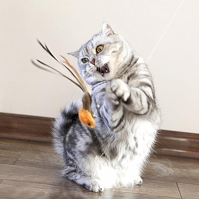 miwoowim Interactive Cat Wand Toy Set – 2 Retractable Wands (38" & 50") with 11 Refills Attachments – Feather Toys, Plush Bird, Worms, Insect & Swallow – Cat Teaser Toys for Indoor Cats & Kittens