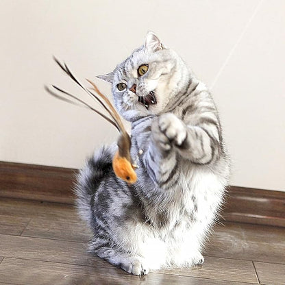 miwoowim Interactive Cat Wand Toy Set – 2 Retractable Wands (38" & 50") with 11 Refills Attachments – Feather Toys, Plush Bird, Worms, Insect & Swallow – Cat Teaser Toys for Indoor Cats & Kittens