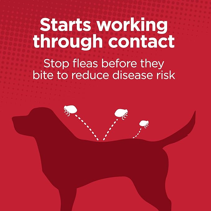 TevraPet Activate II Flea and Tick Prevention for Dogs | 4 Count | Large Dogs 21-55 lbs | Topical Drops | 4 Months Flea Treatment