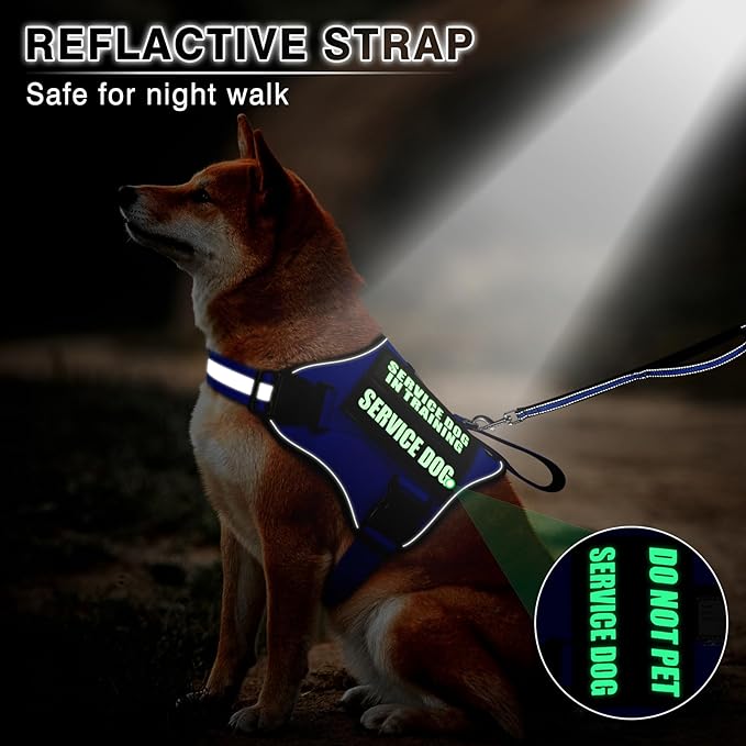 Service Dog Vest Harness and Leash Set+10 Patches,No Pull&Easy Walk Reflective Dog Harness with Soft Padded Handle for Training/Everyday,Fit Small/Medium/Large/Extra-Large Dogs (Blue S)
