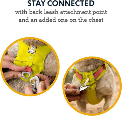 Ruffwear, Hi & Light, Everyday Lightweight Dog Harness, Trail Running, Walking, Hiking, All-Day Wear, Lichen Green, Small