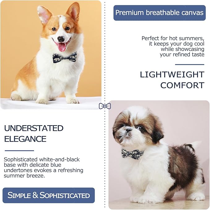 Bowtie Collars for Small Dogs, Elegant Puppy Collars with Leash Set, Tiny Dog Collars with Bowtie Adjustable 9.8"-13.8", Black, S