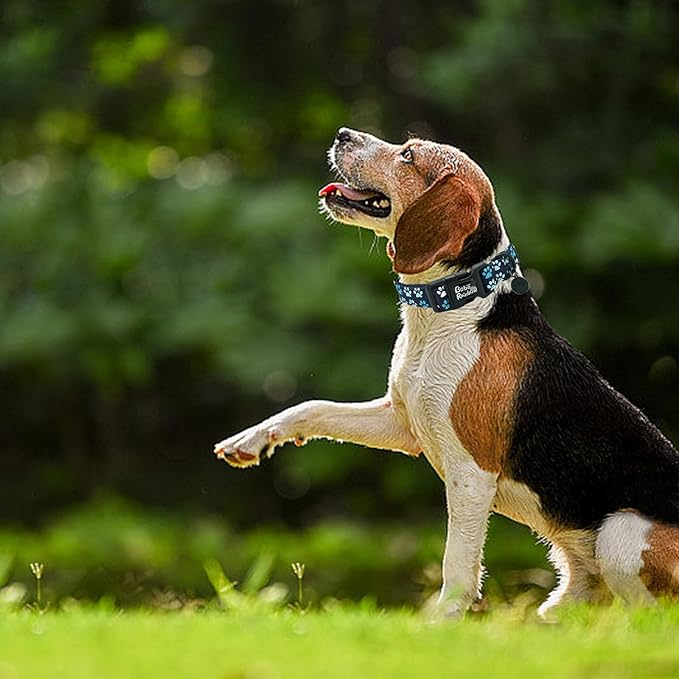Dog Collar-Cute Footprint Adjustable Pet Collars Soft Comfortable Cotton Puppy Collar Durable Gift for X-Small Dogs