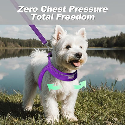 Dog Harness and Leash Set,Step in Small Sized Dog Harness,Soft Mesh,No-Chock,Reflective Adjustable,Secure with Hook & Loop Fastener,Puppy Vest for Small,Medium Dogs(Purple,M)