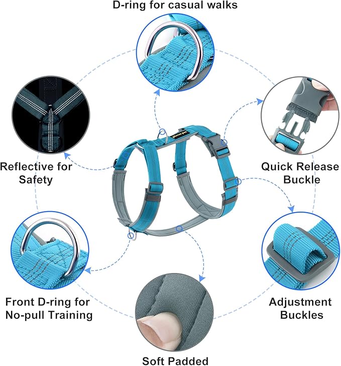 Plutus Pet No Pull Dog Harness, Adjustable Nylon Harness with Soft Padding, Reflective and Heavy Duty Dog Harness for Small, Medium, Large Dogs(Cyan, XL)