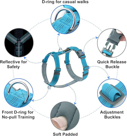 Plutus Pet No Pull Dog Harness, Adjustable Nylon Harness with Soft Padding, Reflective and Heavy Duty Dog Harness for Small, Medium, Large Dogs(Cyan, XS)