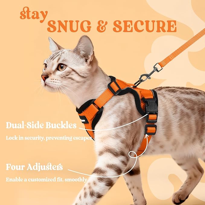 rabbitgoo Cat Harness and Leash for Walking, Escape Proof Soft Adjustable Vest Harnesses for Cats, Easy Control Breathable Reflective Strips Jacket, Orange, M