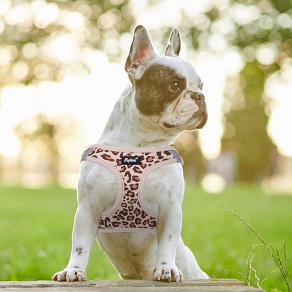PUPTECK Dog Harness and Leash Set for Small Medium Dogs No Pull Step-in Soft Mesh Puppy Cat Vest Harnesses Reflective at Night, Brown Leopard Print, L