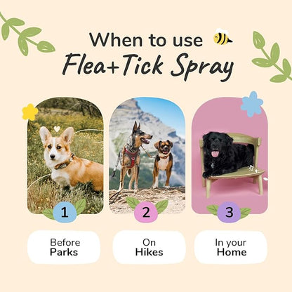 kin+kind Flea and Tick Prevention for Dogs – Plant Based Flea Spray with Rosemary, Lemongrass & Cedarwood Oil – Pet Supplies for Bugs and Pests – Flea & Tick Pet Spray Prevention - Lavender 32 fl oz