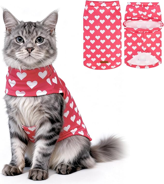 EXPAWLORER Soft Cat Sweater - Sweaters for Cats Only Warm Kitten Clothes, Fall and Winter Pet Coat Pullover Design, Fleece Sweatshirt Clothing Also for Puppy Small Dogs, Pink Heart M