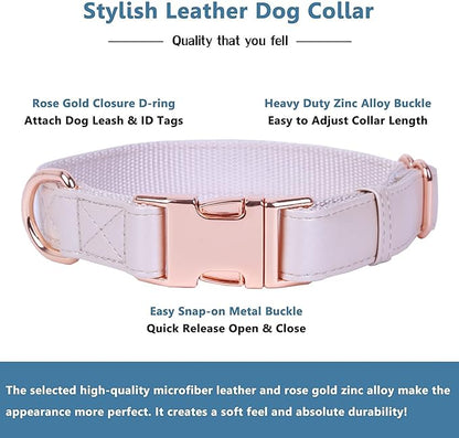 Soft Leather Dog Collar and Leash (6.6') Set - Stylish Rose Gold Heavy Duty Metal Buckle, 4 Adjustable Lengths Leash for Small Medium Large Dogs - Comfortable & Easy to Clean XS(8"-12"), Gold Pink
