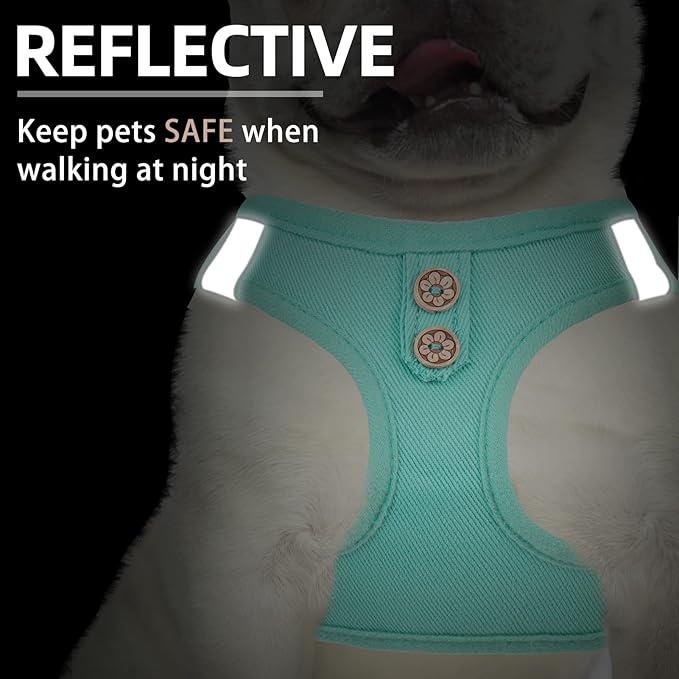 PUPTECK Dog Harness and Leash Set for Small Medium Dogs No Pull Step-in Soft Mesh Puppy Cat Vest Harnesses Reflective at Night, Denim Green XS